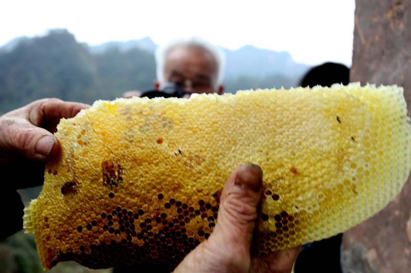 土蜂蜜