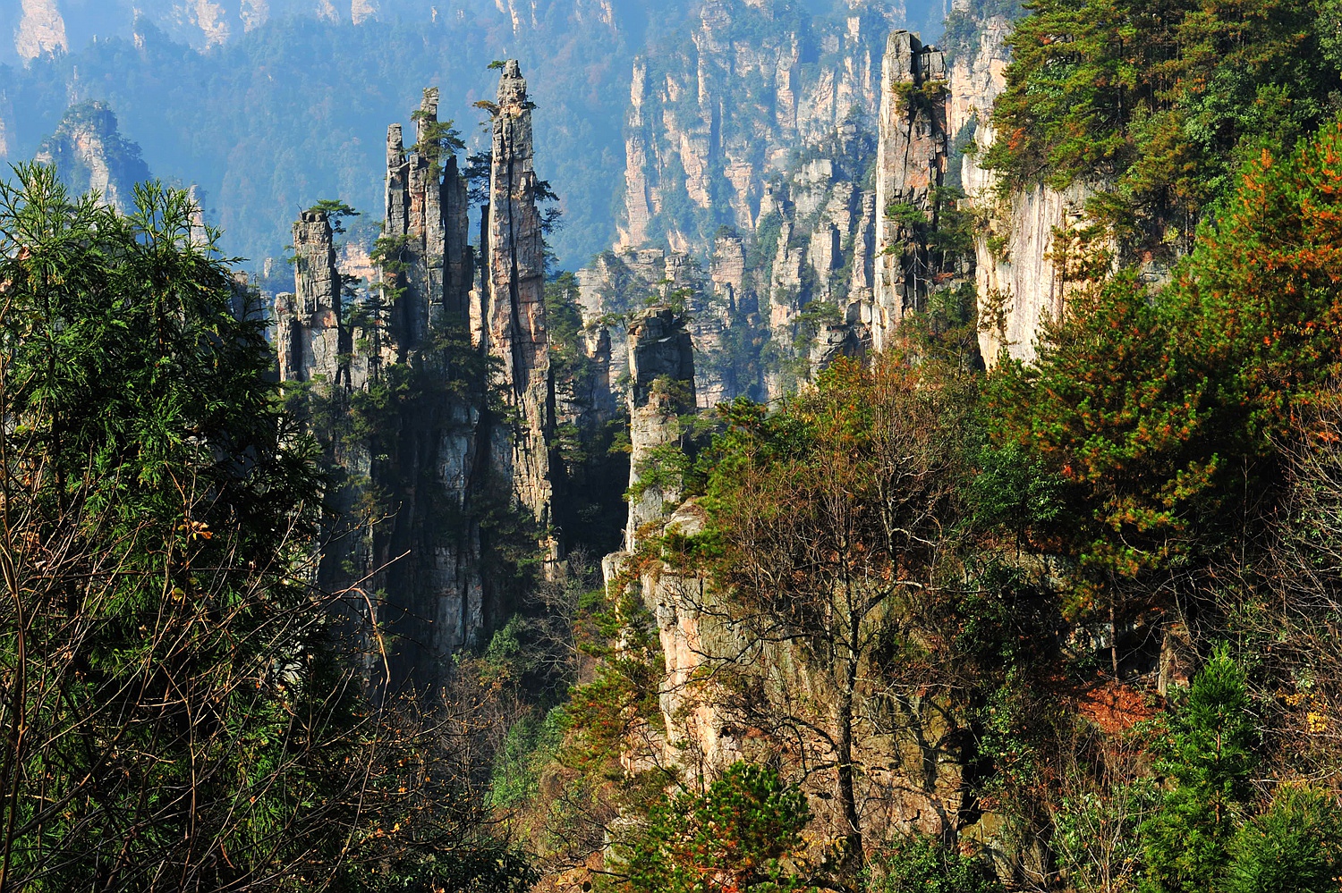 深秋的天子山3