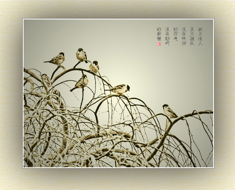 麻雀