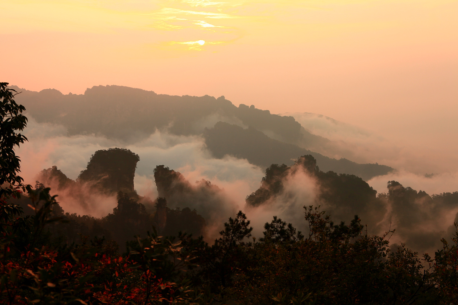 云蒸霞蔚天子山