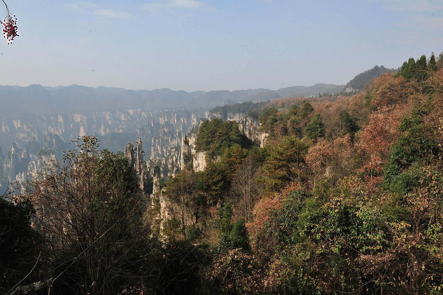 深秋的天子山4