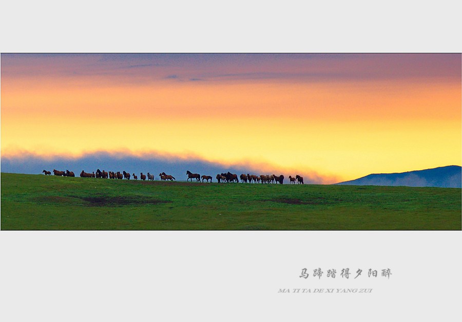 马蹄踏得夕阳醉