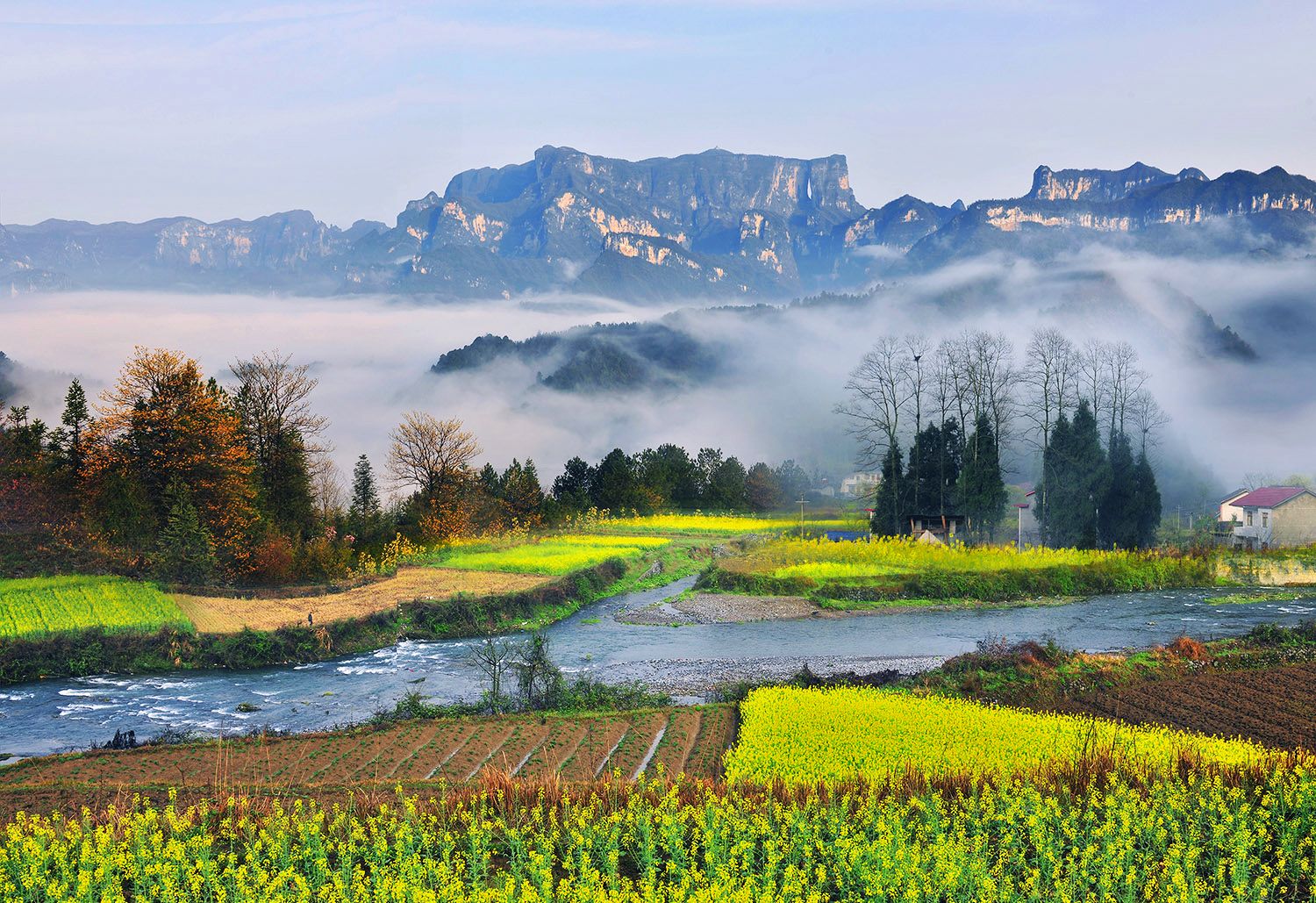 家乡那山