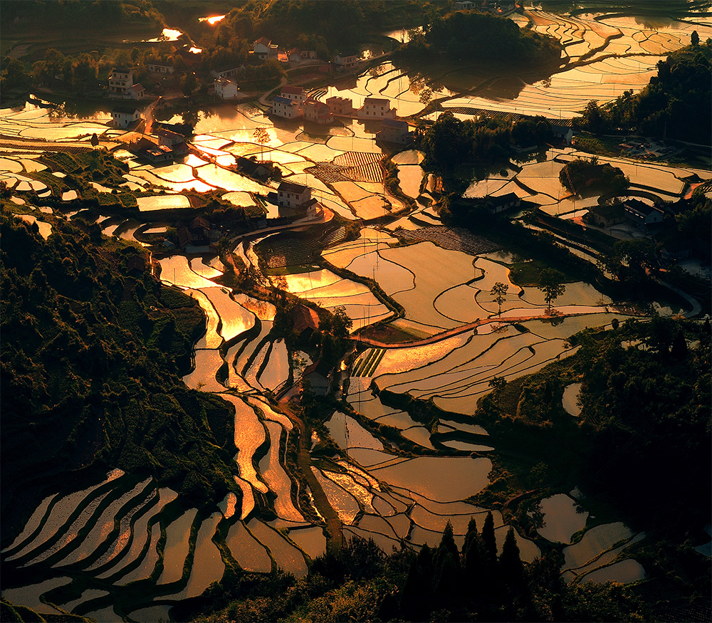 家园如国画