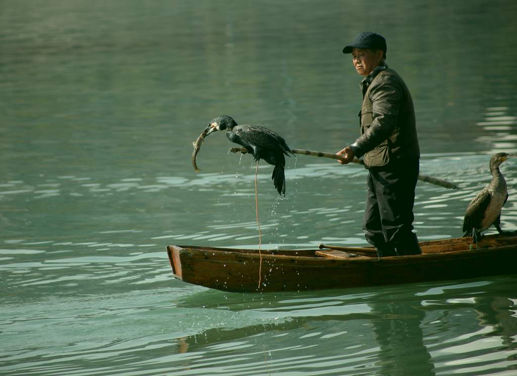 捕魚