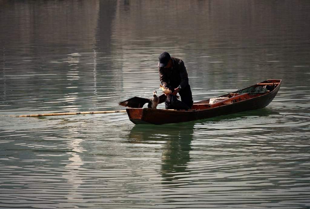 澧水河上捕魚人