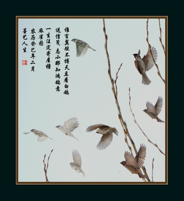 麻雀图