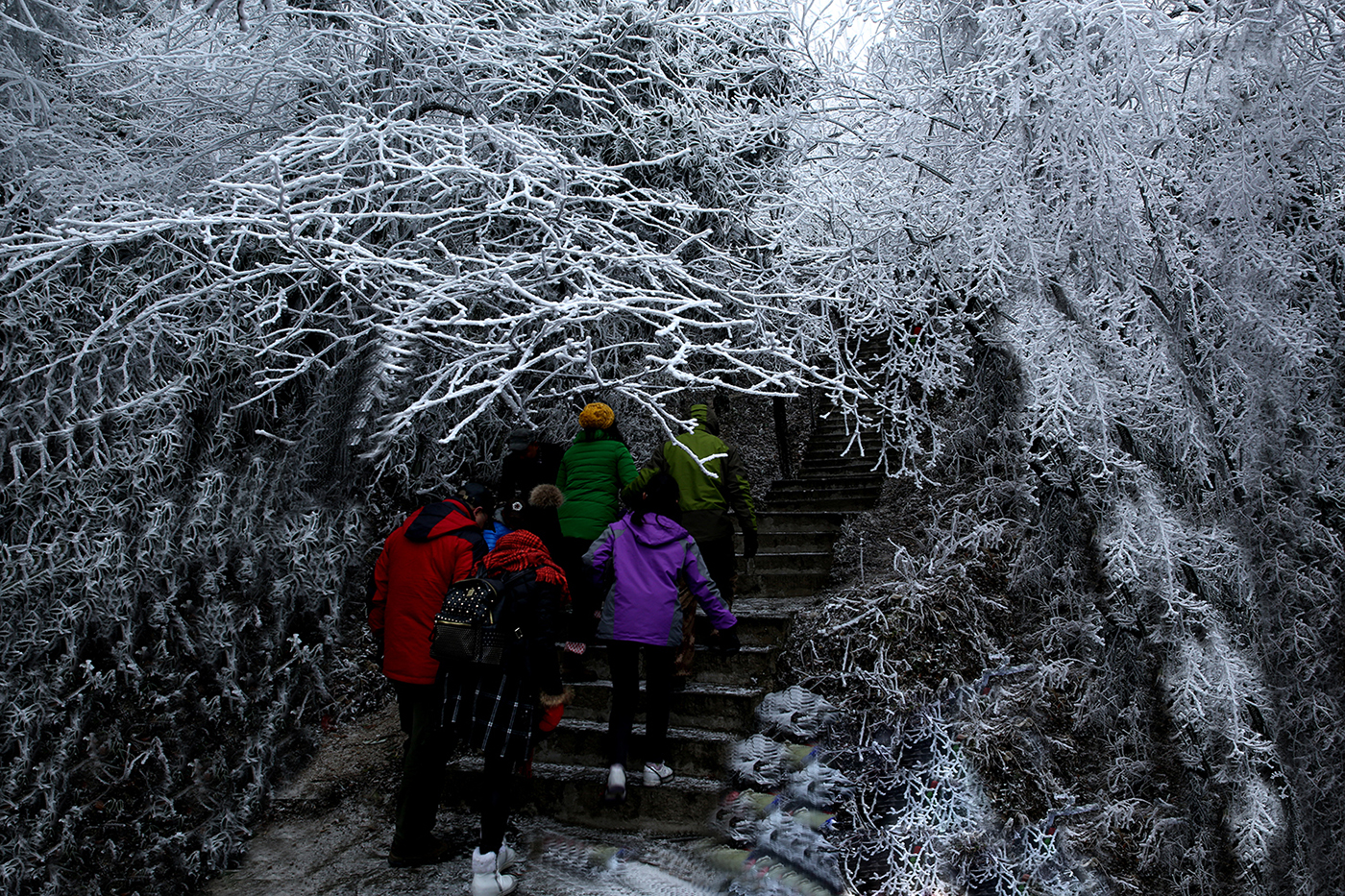 雪中游之四
