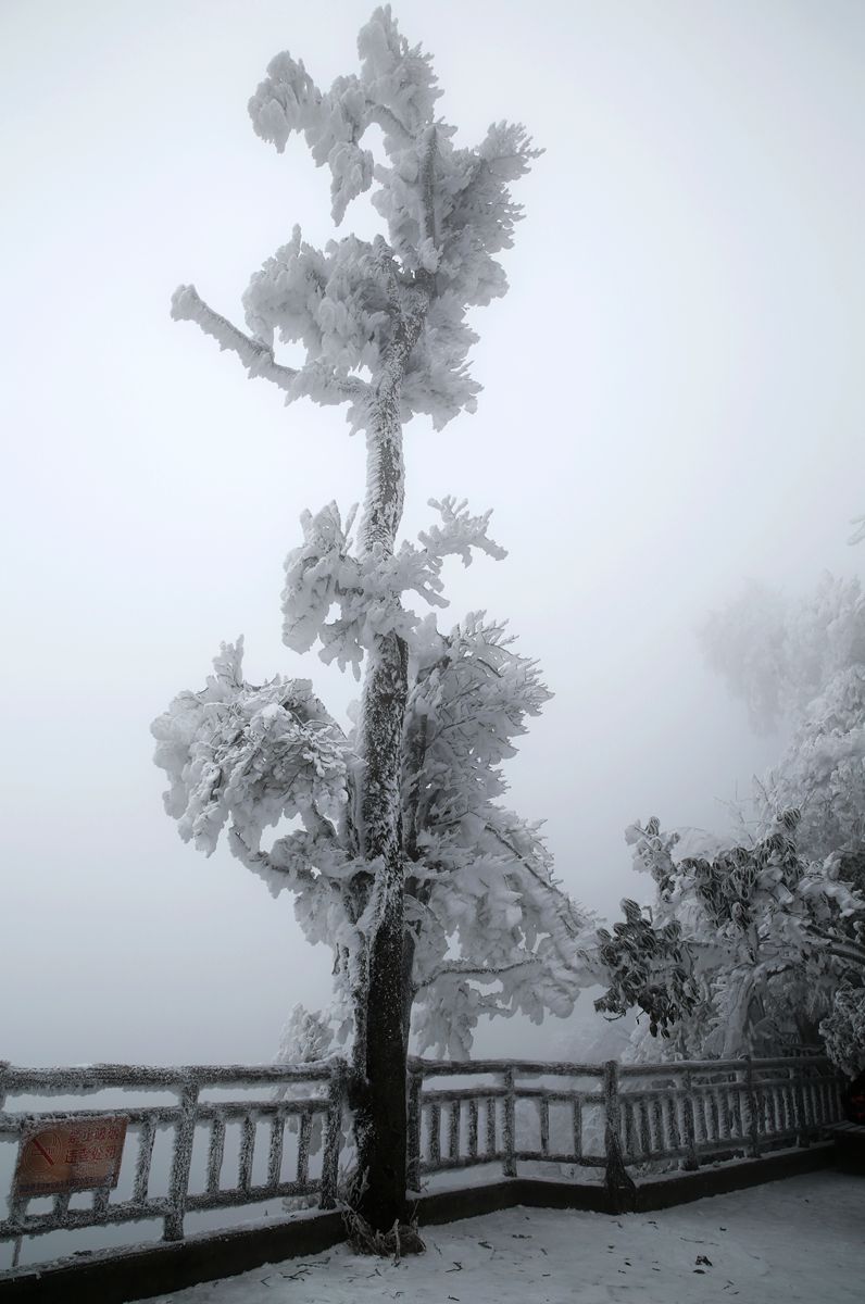 天门山雪