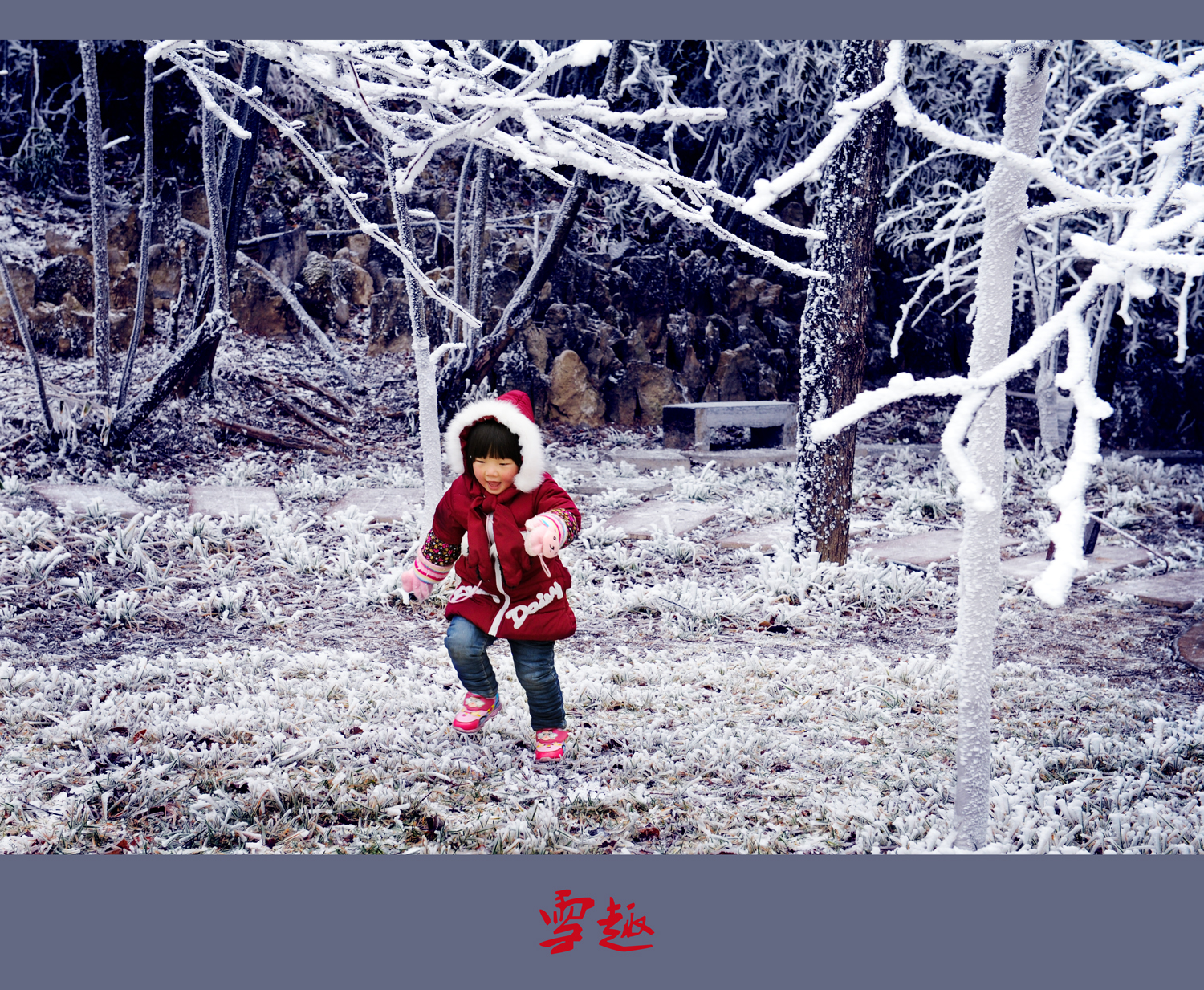 雪趣