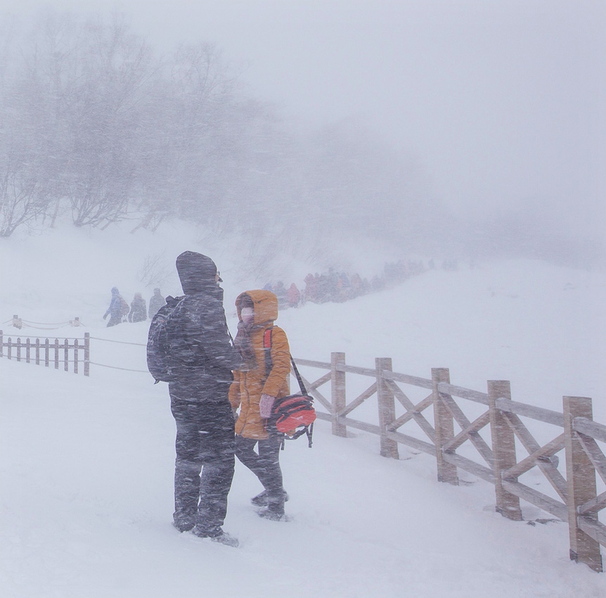 风雪情