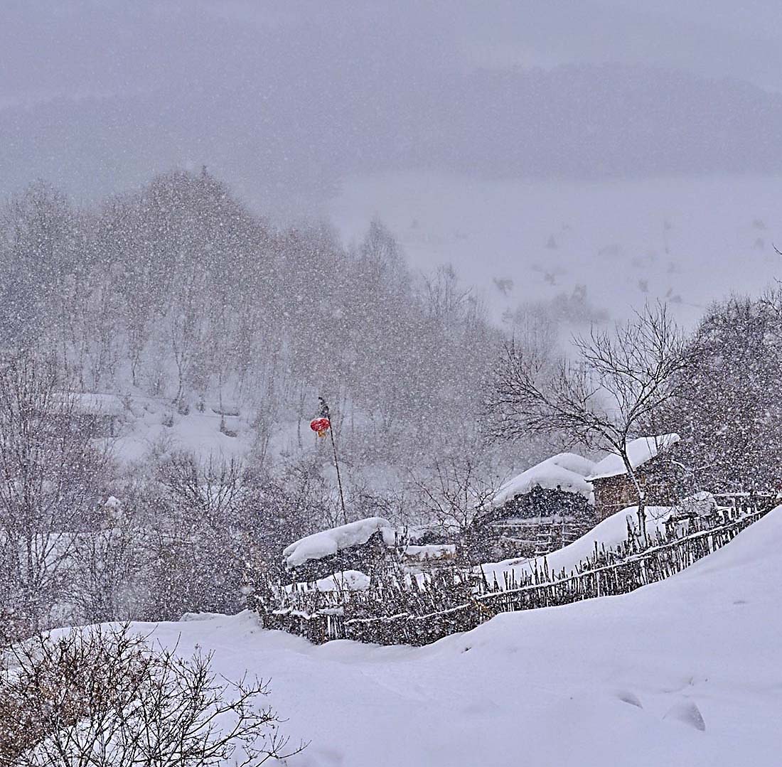 雪村正月5