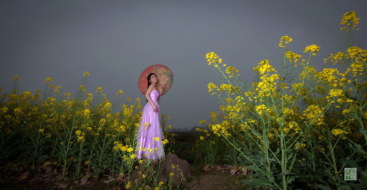 《油菜花儿开》