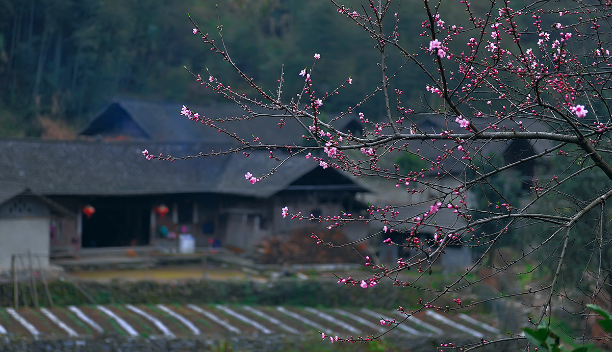 春暖花开