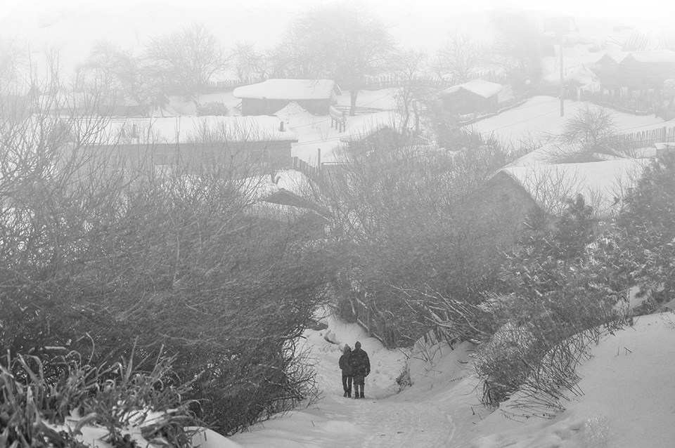 三月雪村