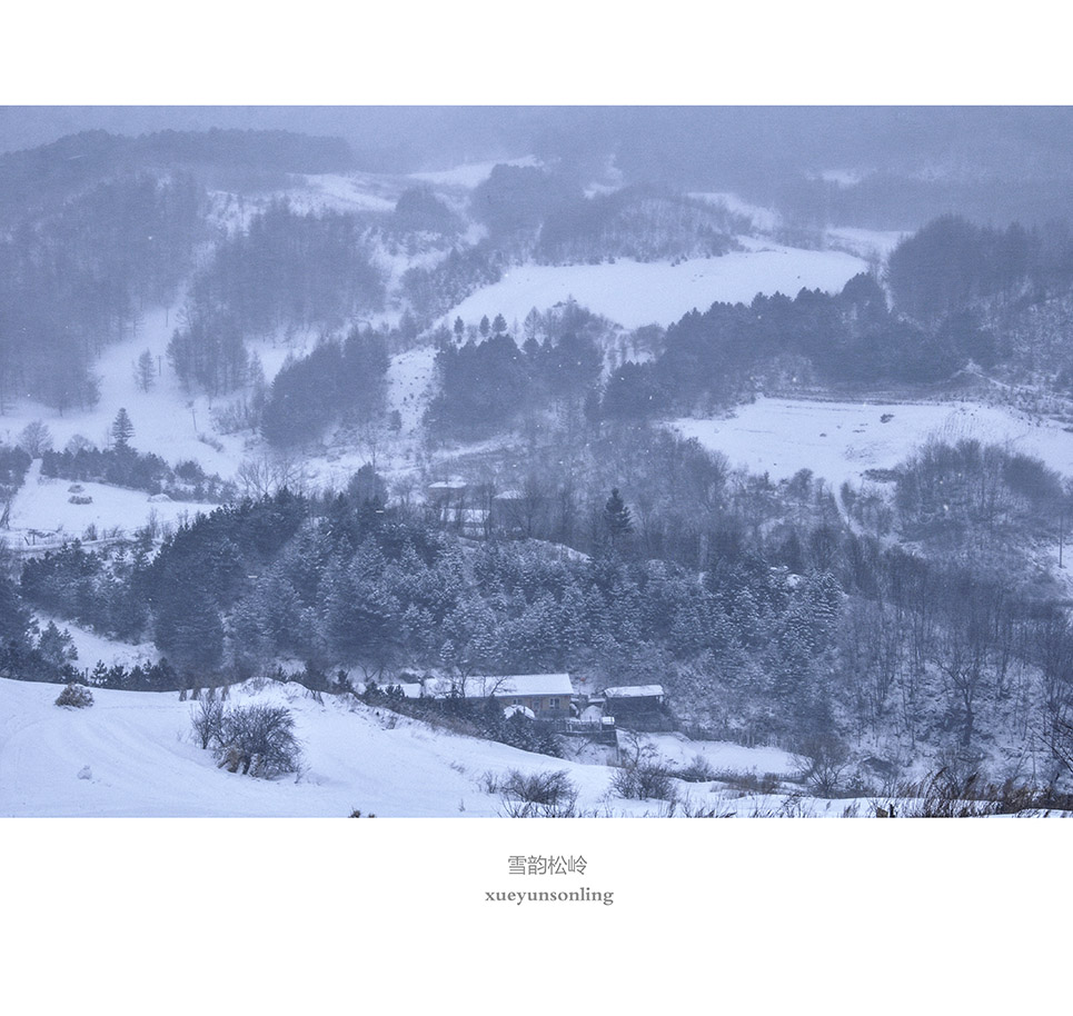 雪韵松岭