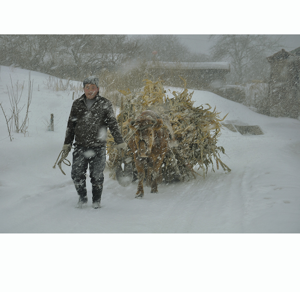 风雪归途