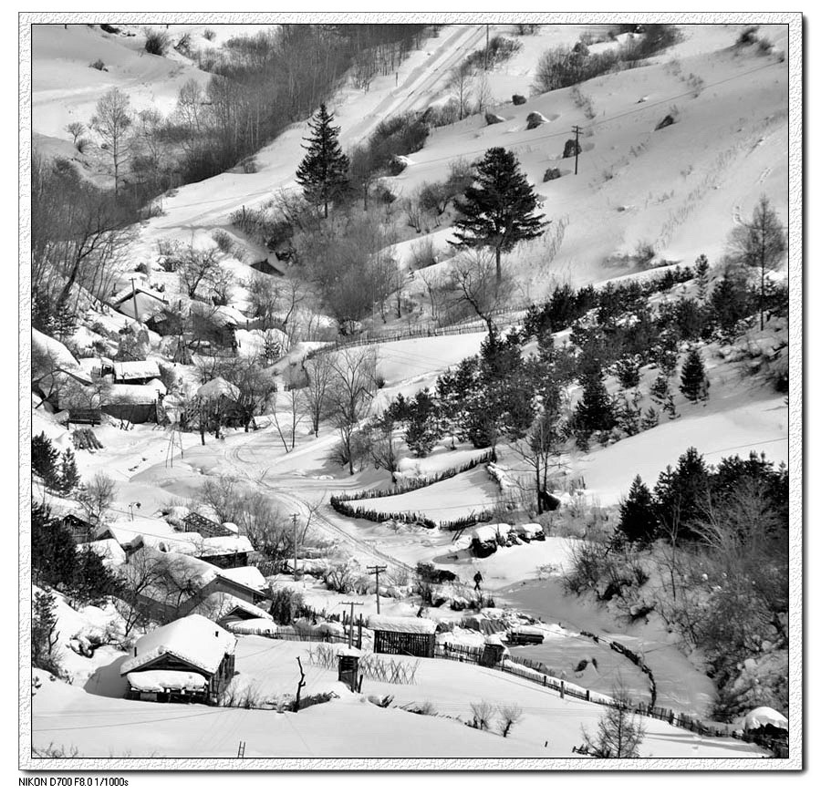 关东雪村---魅力松岭
