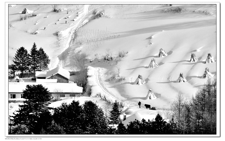 关东雪村---魅力松岭
