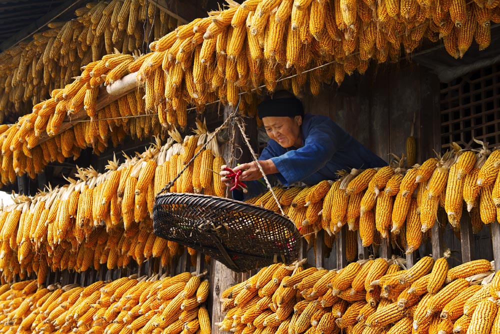 大嫂家的楼阁