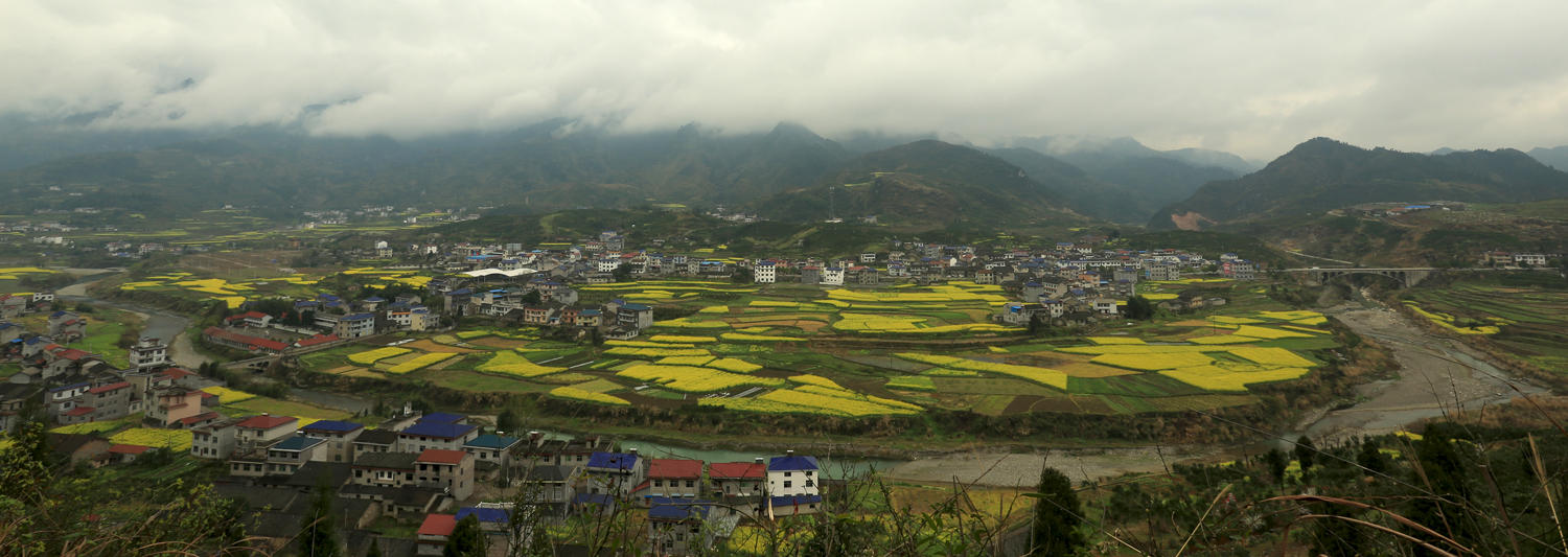 田园风光1