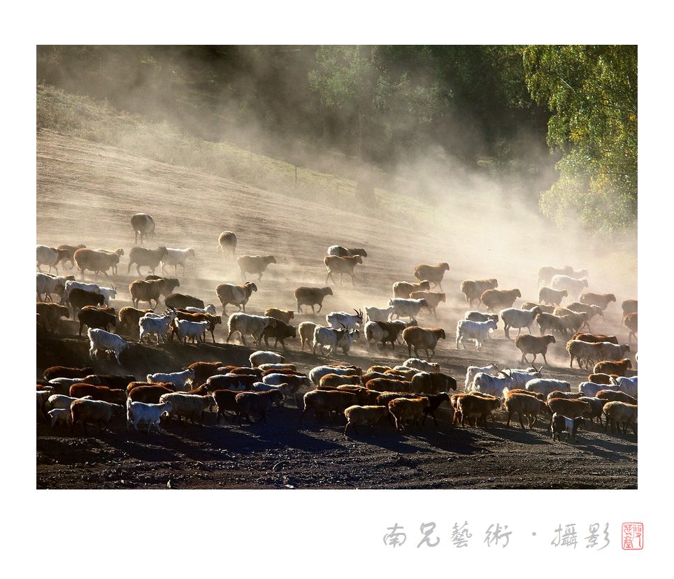 尘土飞扬