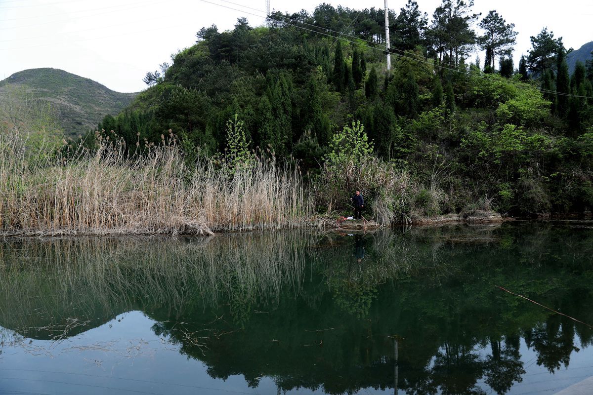 山青水秀