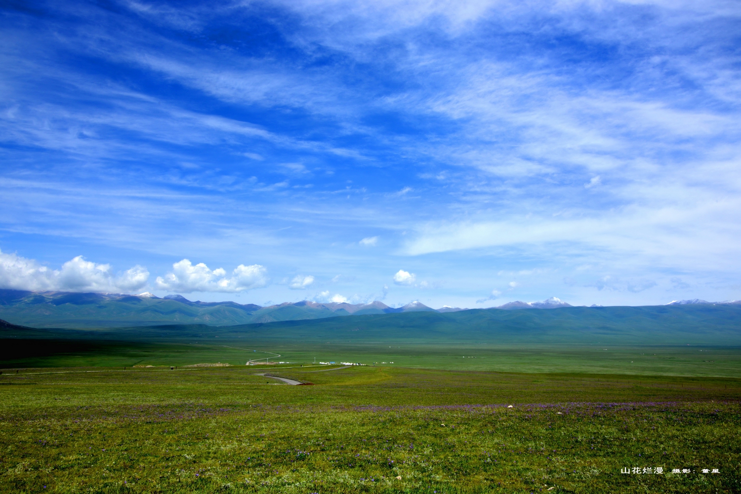 山花烂漫