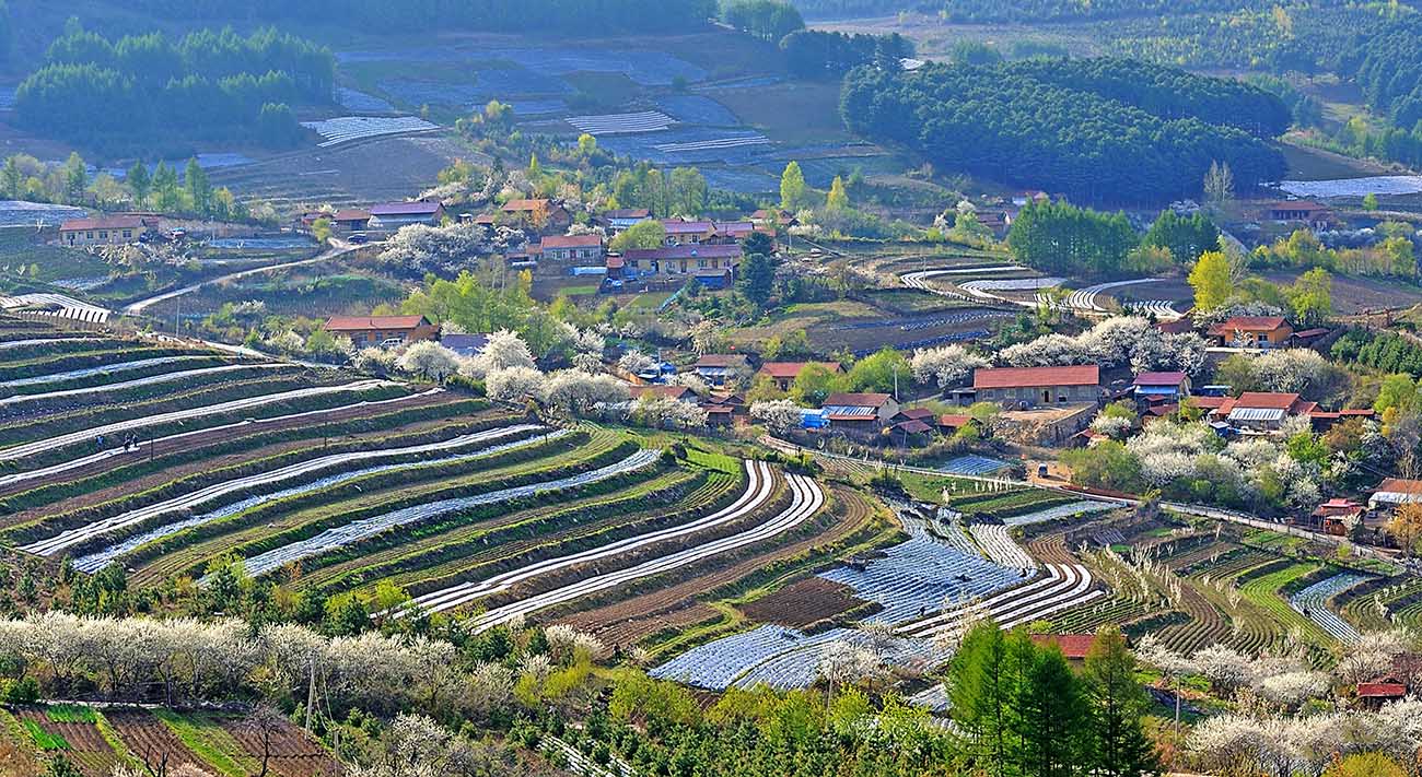 春光润松岭