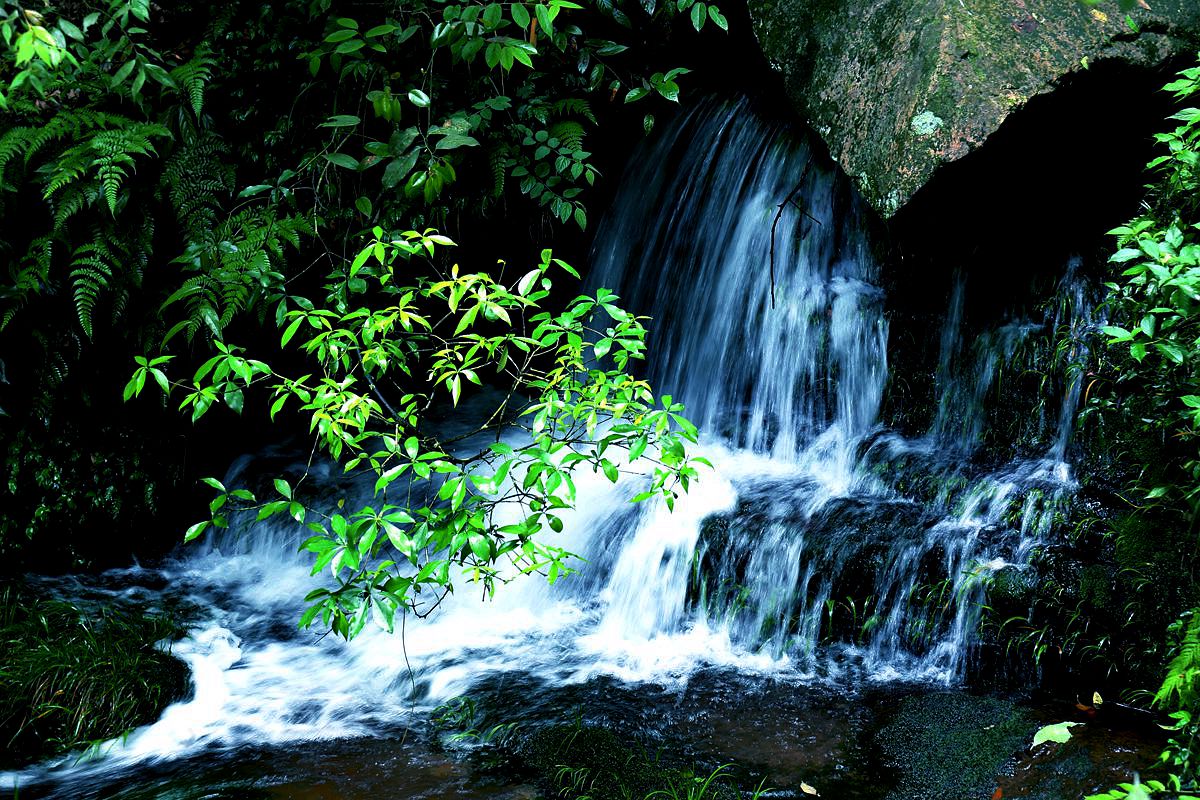 杨家界山涧小景   二