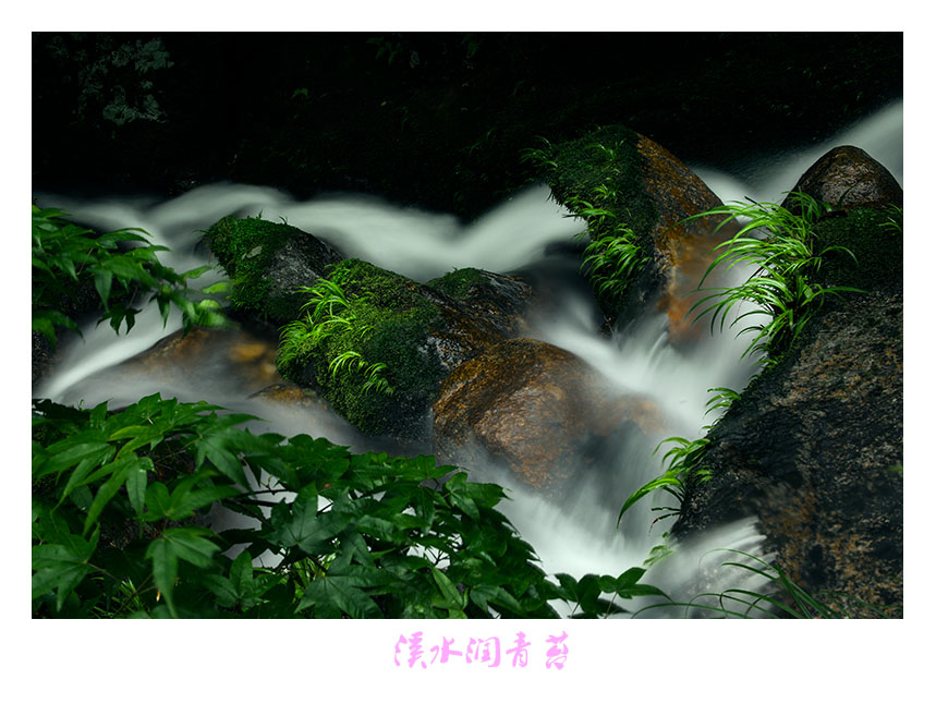 溪水。青苔