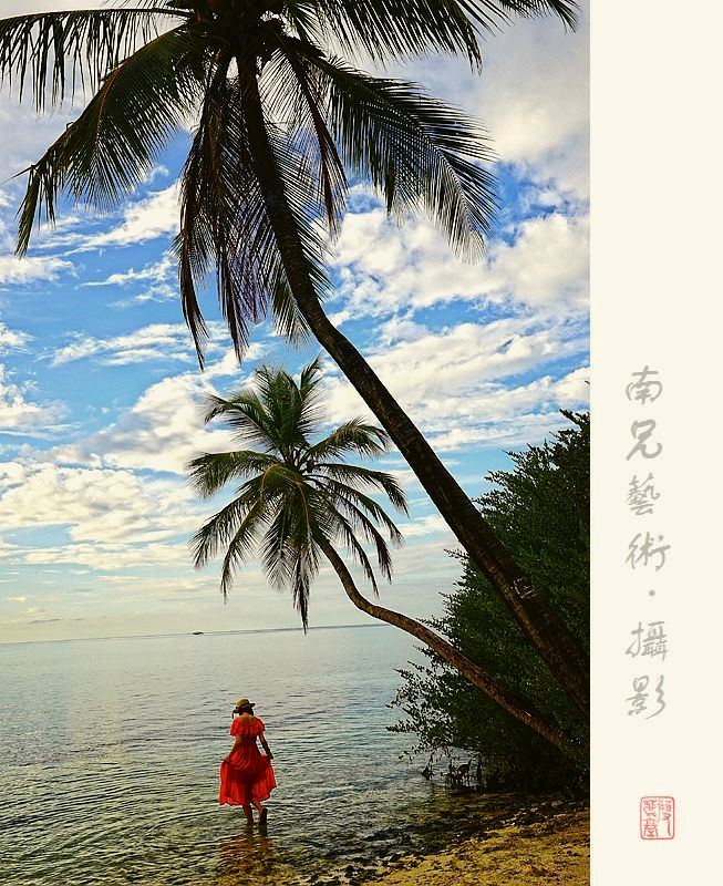 椰树下