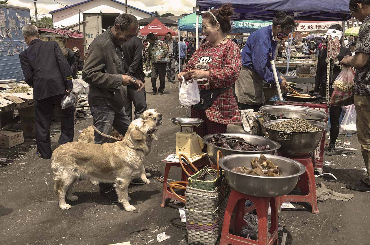 街头集市