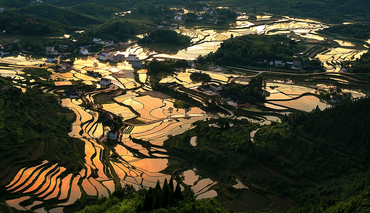 五彩家园