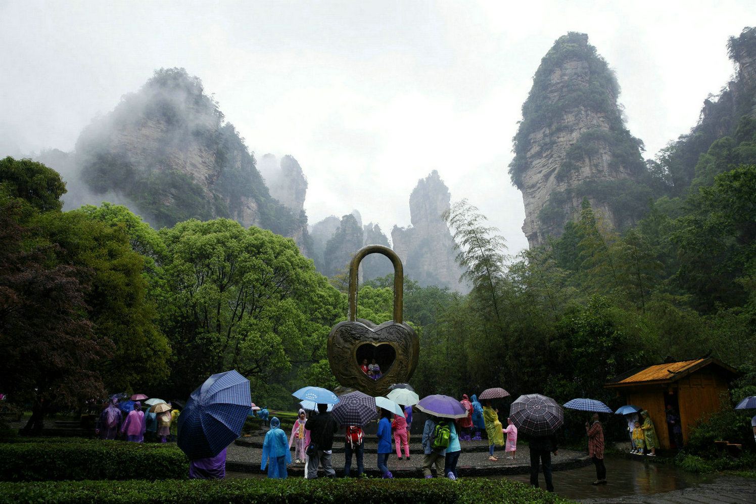 风雨同心张家界