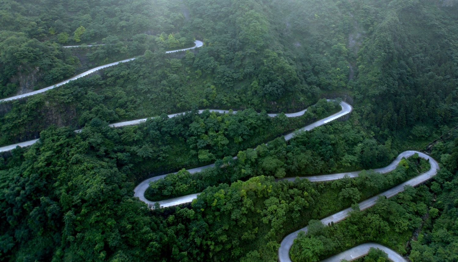 仙山“蛟龙”