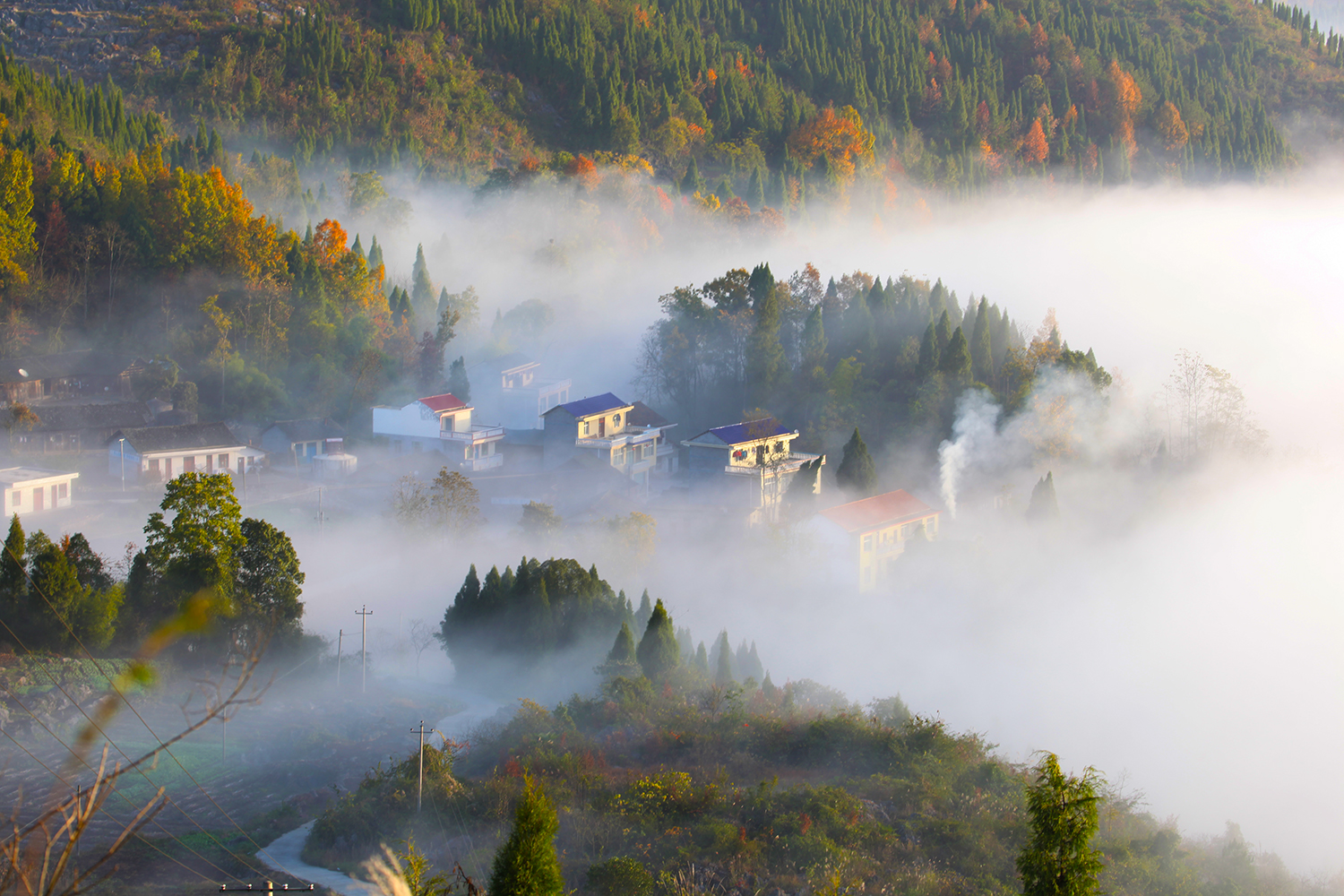 美丽乡村