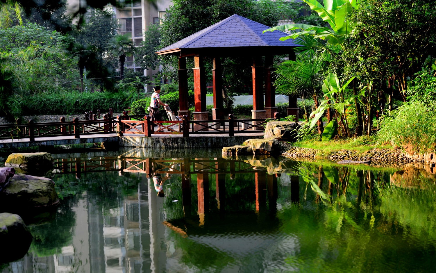 庭院晨景3