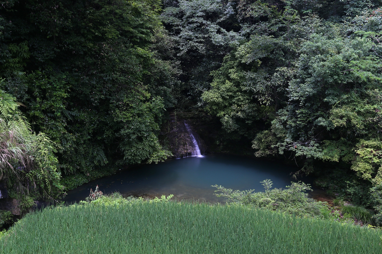 马头溪风景