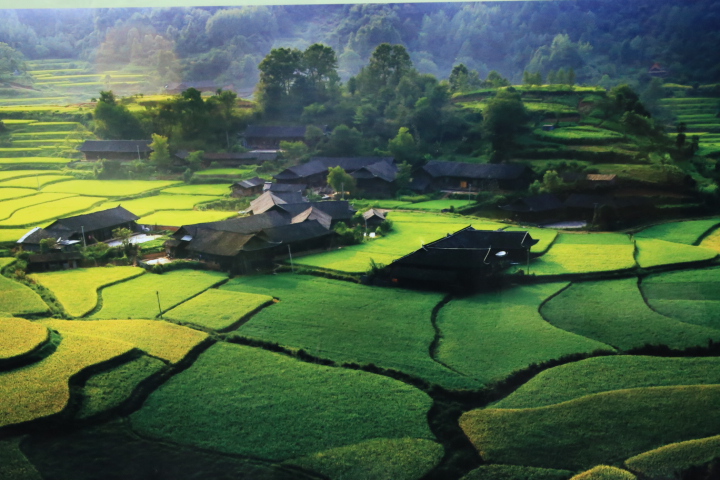 石堰坪景色