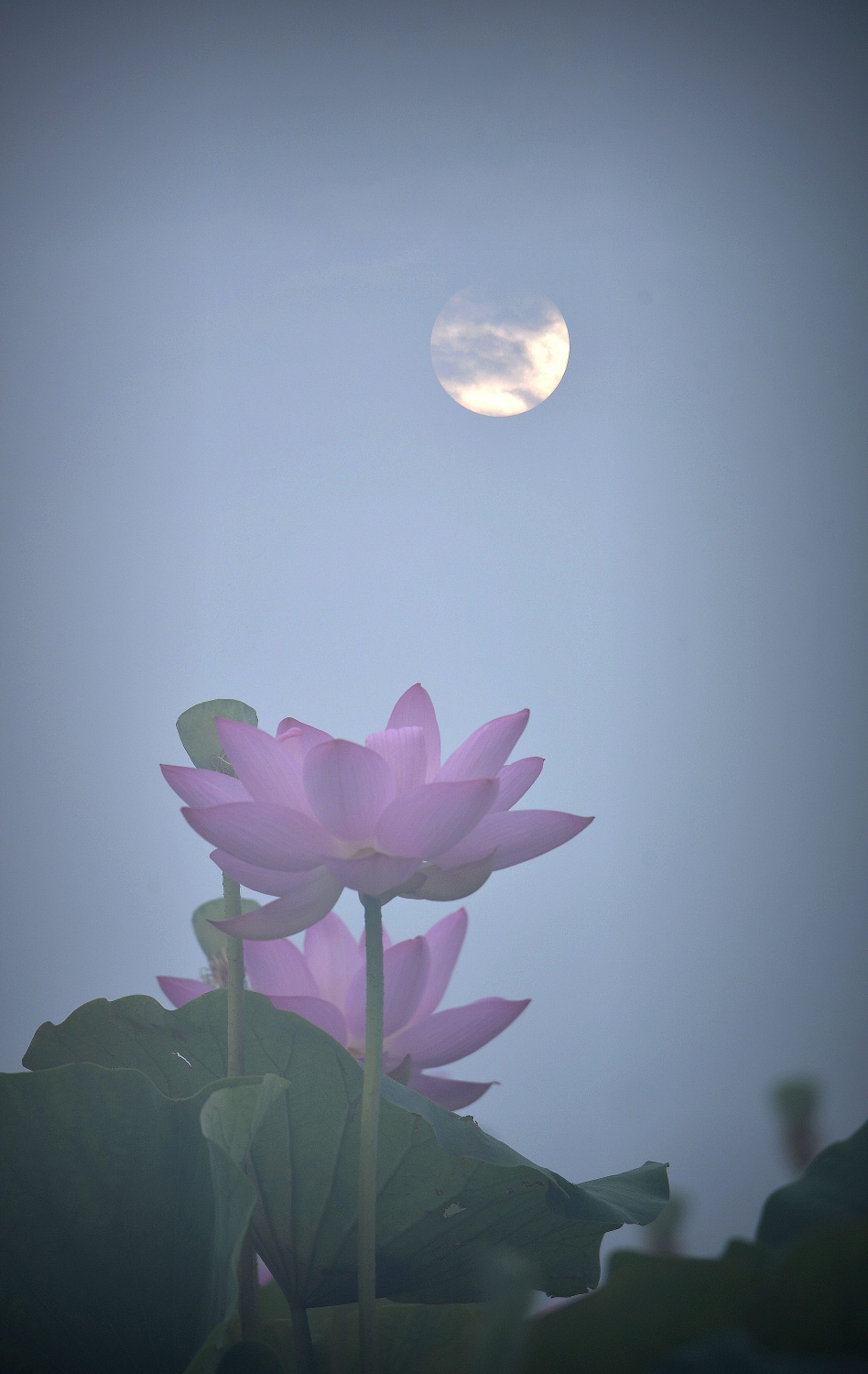 惠风和畅10