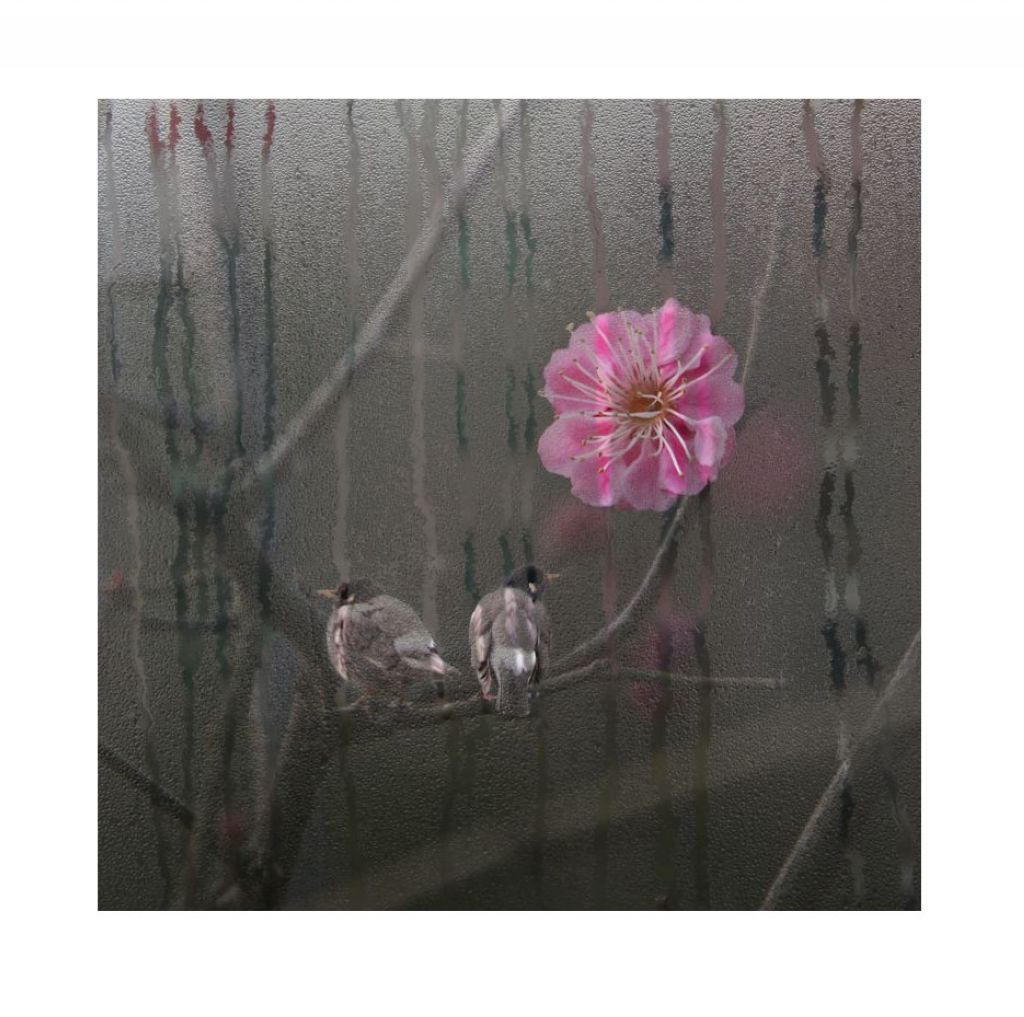 小品
