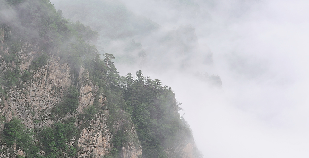 雾锁神龟湾