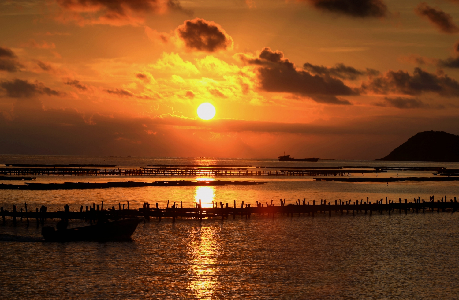 日出非沙湾