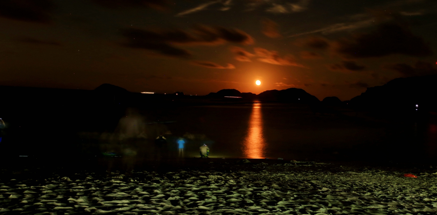 海滩夜色