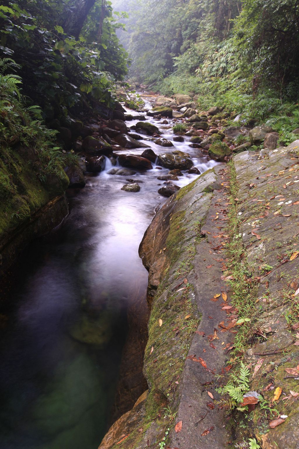 又到天泉山3