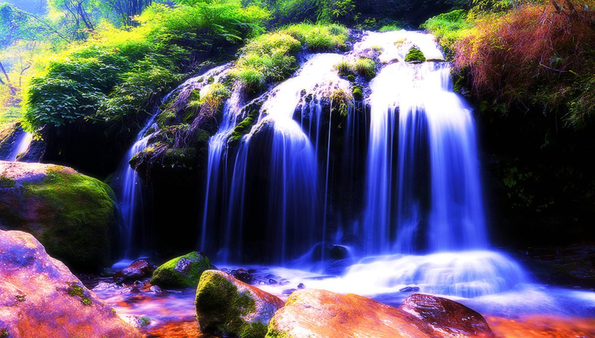 山水情