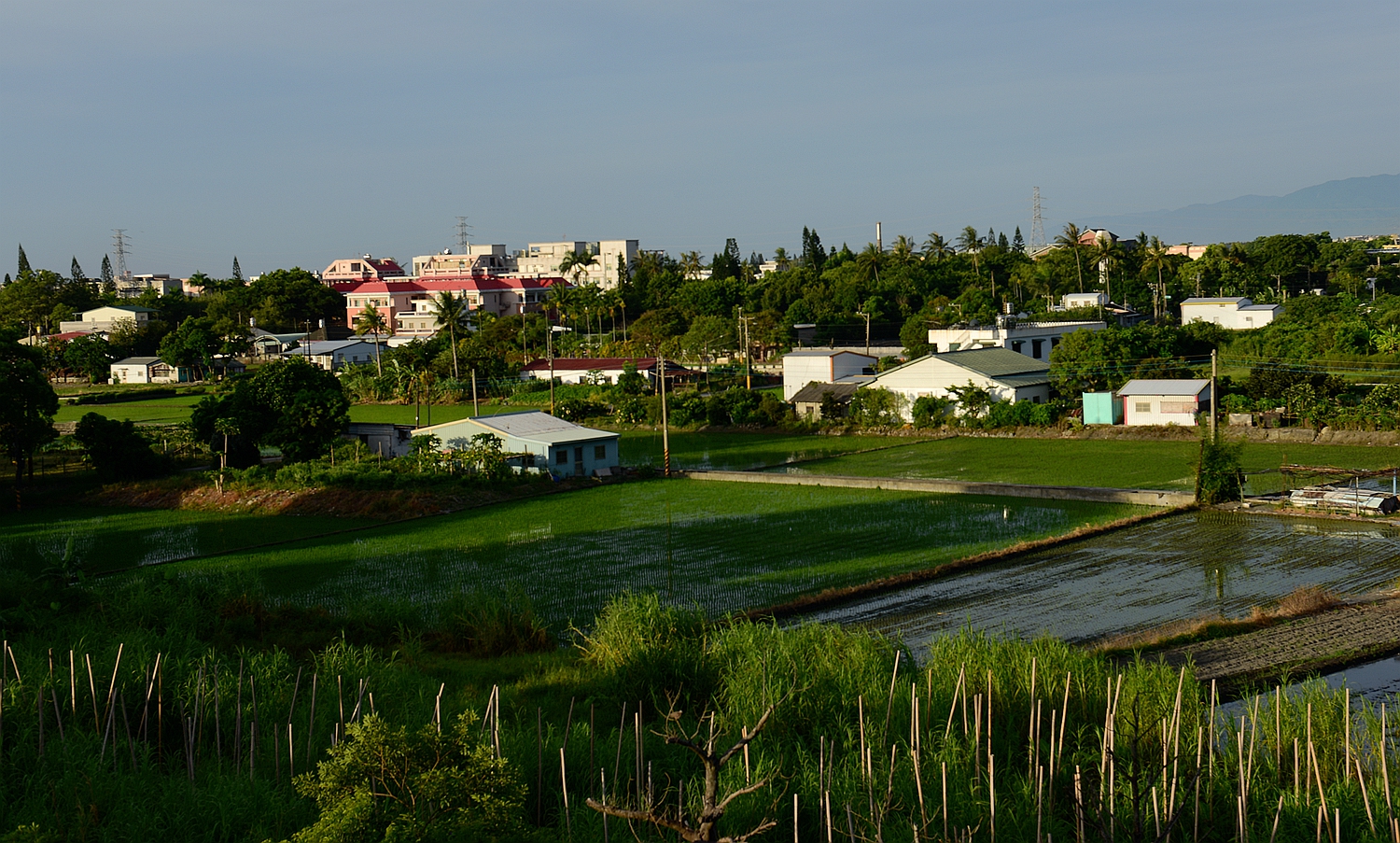 台湾乡村掠影4