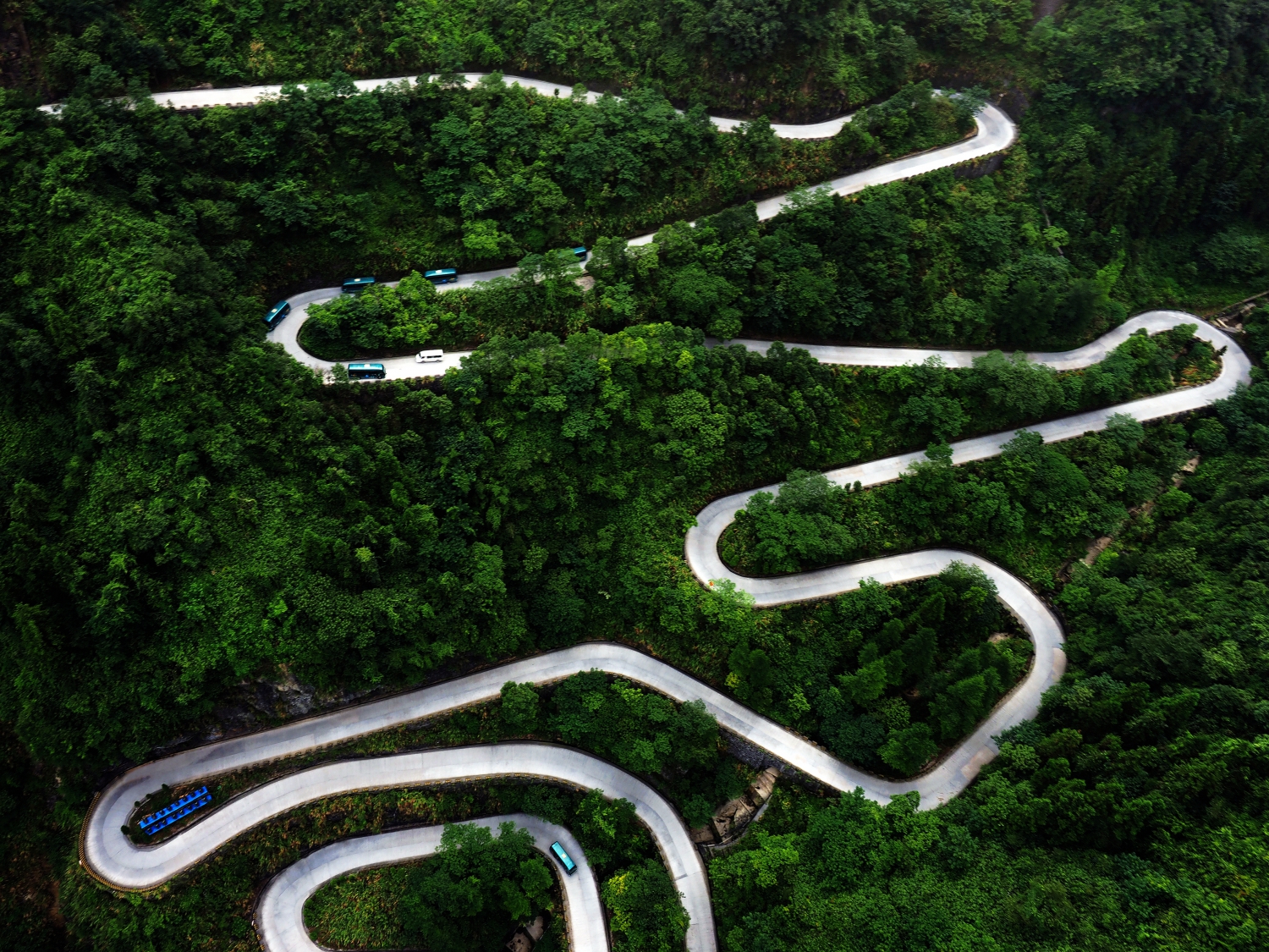 山路弯弯