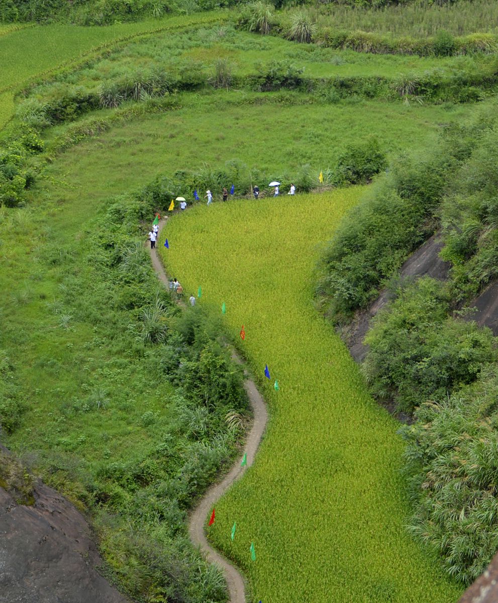 丹霞山俯瞰